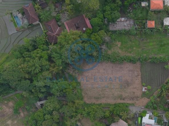 freehold land in canggu pererenan for sale