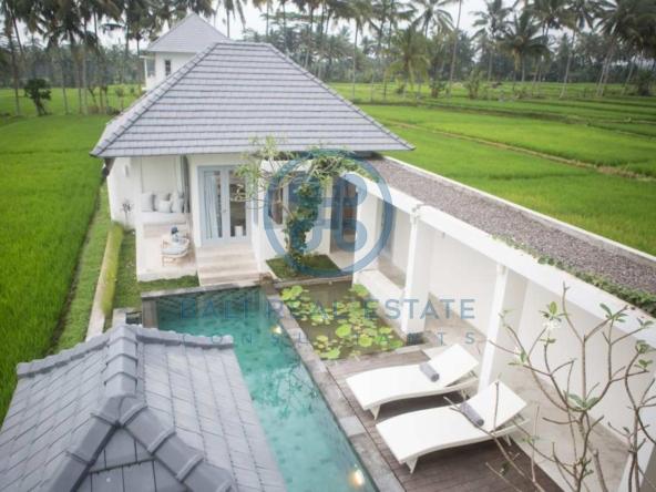 bedroom colonial villa ubud for sale rent