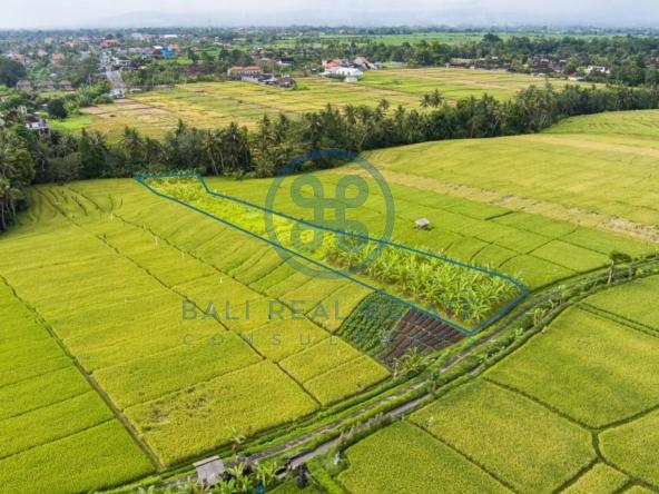 are land buwit bali for sale rent