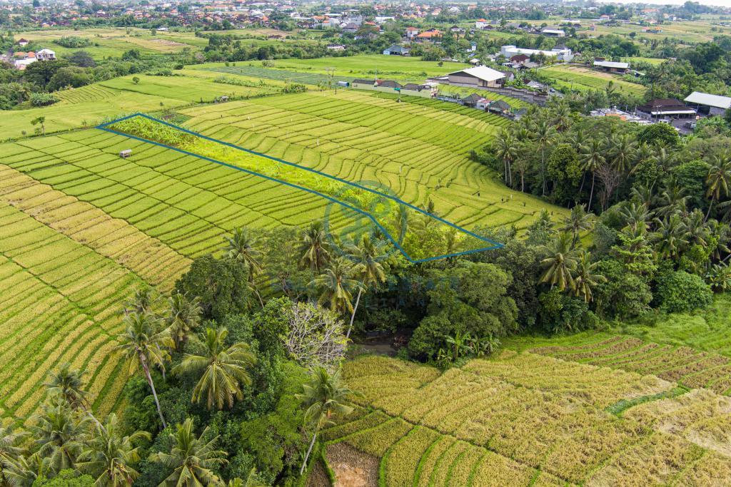 are land buwit bali for sale rent