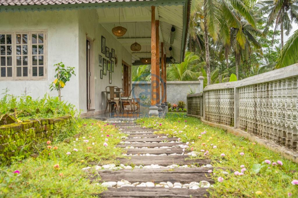 bedroom villa surrounded by ricefields in ubud for sale