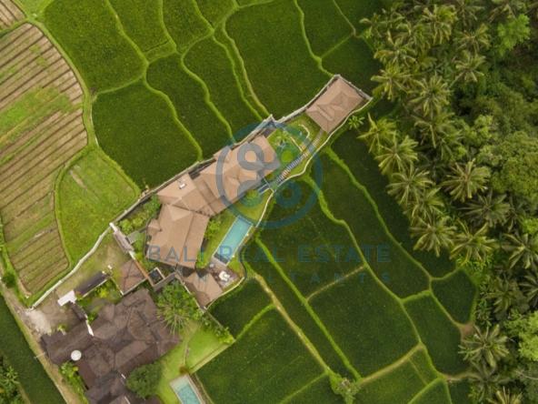 bedroom villa surrounded by ricefields in ubud for sale