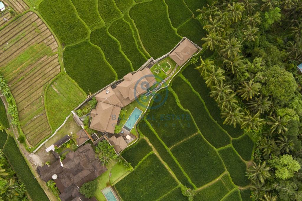 bedroom villa surrounded by ricefields in ubud for sale