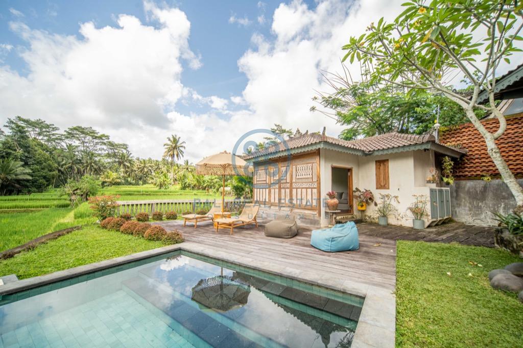 bedroom villa surrounded by ricefields in ubud for sale