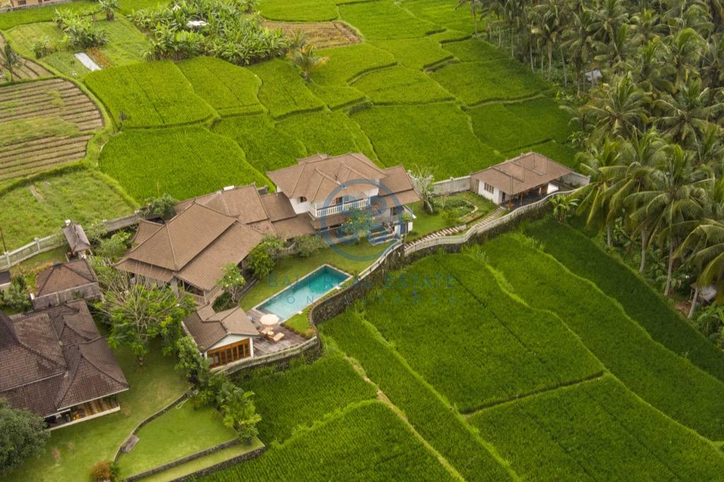 bedroom villa surrounded by ricefields in ubud for sale