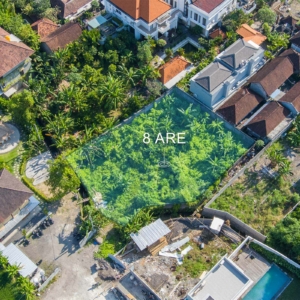 8 Are Freehold Land in Jl Kayu Tulang, Canggu